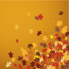 vector image of autumn leaves