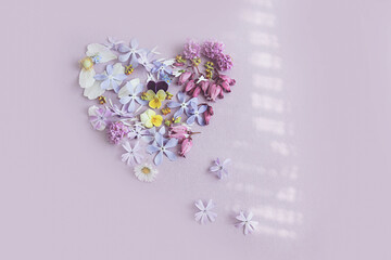 We love summer: heart collected from summer flowers, shadows on windows, pastel background, space for text