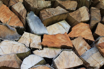 Woodpile of deciduous wood - firewood for the fireplace.