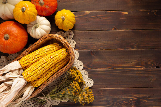 Dried corn cob and pumpkin at wooden table as autumn still life