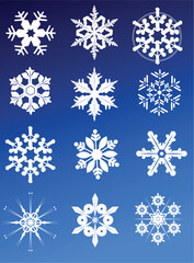 Twelve snowflakes as winter design element