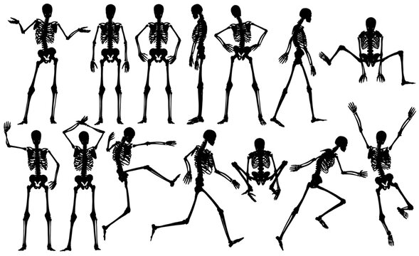 Set of editable vector male skeleton outlines
