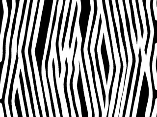 Zebra print background
