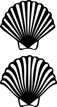 A scallop shell tribal tattoo