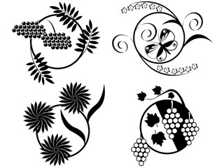 Flower, the butterfly and berries - contours in a vector