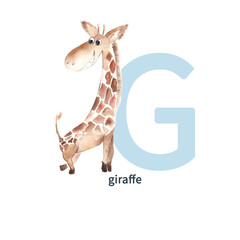 Letter G, giragffe, cute kids colorful animals ABC alphabet. Watercolor illustration isolated on white background.