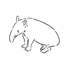 Tapir animal sketch engraving vector illustration. Scratch board style imitation. Hand drawn image.