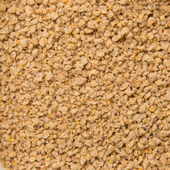 A Close-Up of the Cat's Litter Box. Filling the Cat Litter Tray. Pet Shop Concept. Products for Pets