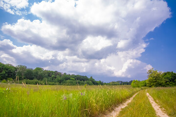 
A beautiful summer landscape, a flower meadow against a cloudy sky, from the photo it breathes a summer mood. Brilliant colors, high color saturation