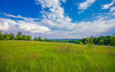 
A beautiful summer landscape, a flower meadow against a cloudy sky, from the photo it breathes a summer mood. Brilliant colors, high color saturation