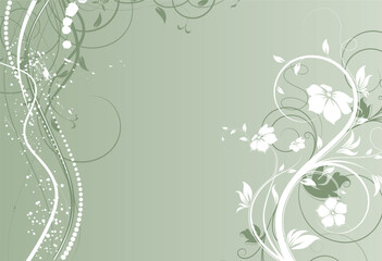 Fototapeta na wymiar Floral illustration. Can be used for design.