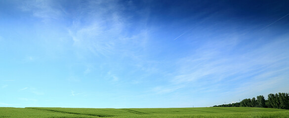 green field and blue sky - 607560562