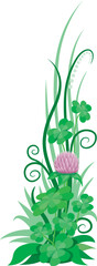 Fototapeta premium Clover ornament ready for St. Patrick's Day