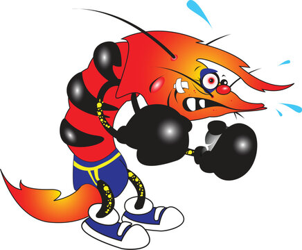 vector illustration of ugly shrimp boxer cartoon character