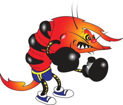 vector illustration of evil shrimp boxer cartoon character