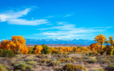 Autumn Landscape of the Sangre de Cristo Mountains in New Mexico - 607562592