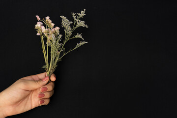 Holding still life with hand