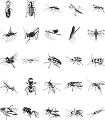 Twenty smooth vector clipart illustration of various insects © Designpics