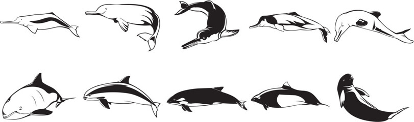 Naklejka premium Collection of smooth vector EPS illustrations of various sharks