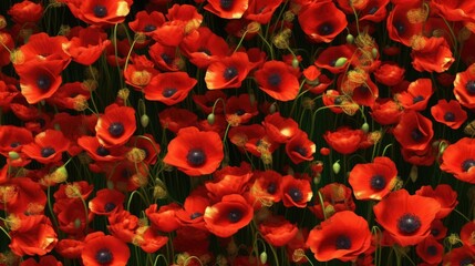 poppy, memorial day, floral, memorial, symbol, freedom, celebration, american, military, poppies, memory, independence, soldier, decoration, veteran, veterans, patriotism, banner, heroes, celebrate, f