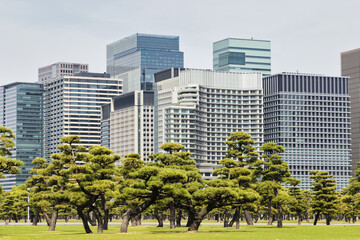 Obraz premium Kokyo Gaien National Garden, the outer gardens of the Imperial Palace in Tokyo, Japan