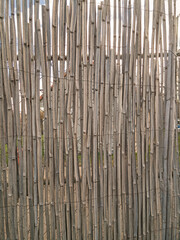 Fototapeta premium Fence or reed mat for fencing