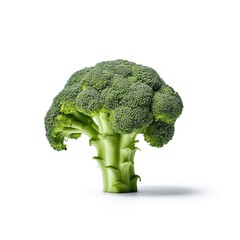 Isolated broccoli on white background 