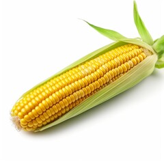 Isolated corn on white background 