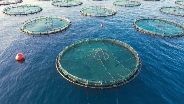 Fish cage and fish holding pen in open sea, aerial close-up shot