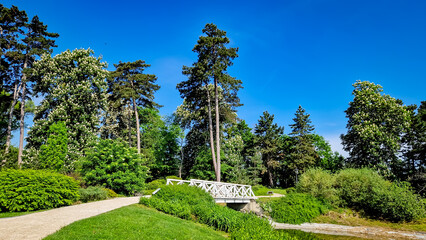 Fototapeta premium garden in the park