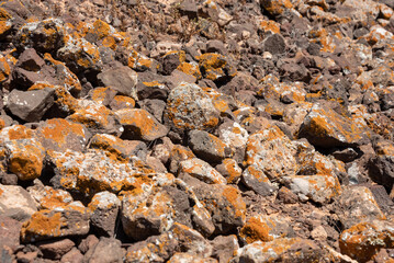Stones covered with lichen. Abstract background, selective focus. 