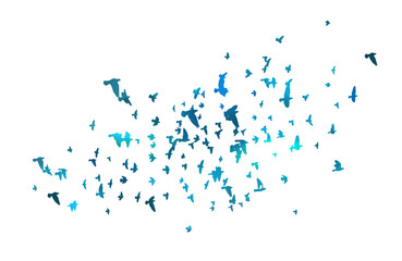 Blue birds flying flock. Vector illustration