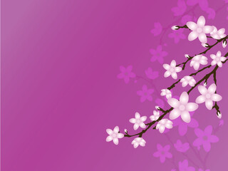 Naklejka na ściany i meble Cherry Blossom Background