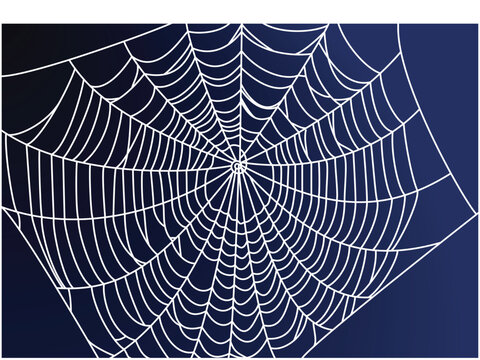 Spideweb illustration