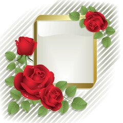 Red roses with gold frame on a white background