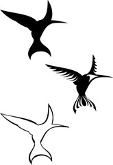 A set of three tribal hummingbird tattoos