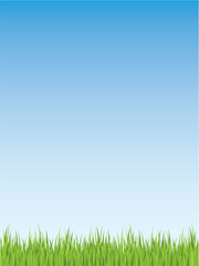 Fototapeta premium Seamless illustration of spring grass. Please check my portfolio for more nature illustrations.
