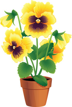 Vector Illustration - Pansies In A Terracotta Pot