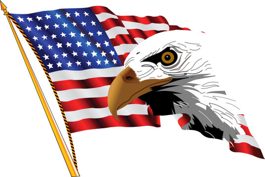 American Flag and Eagle