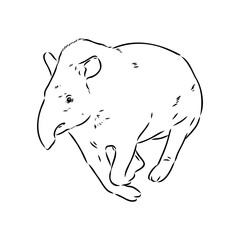 Tapir animal sketch engraving vector illustration. Scratch board style imitation. Hand drawn image.