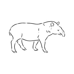 Tapir animal sketch engraving vector illustration. Scratch board style imitation. Hand drawn image.