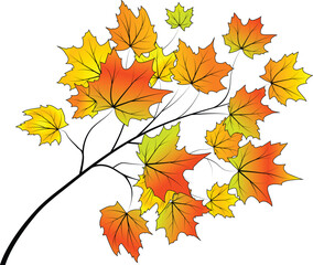 Abstract autumn background, vector illustration