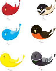 Set of six songbirds - vector based