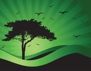 Obraz premium Old tree silhouette, season background