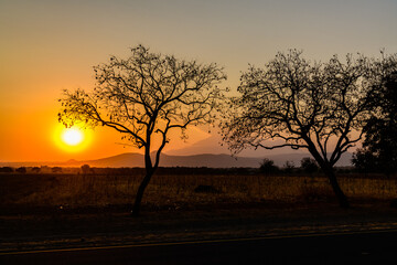 Landscape at the Arusha national park at sunset, Tanzania