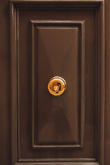 Obraz premium Old door knocker