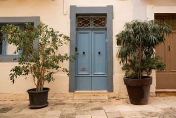 Fototapeta na wymiar Door and flowers on Malta 