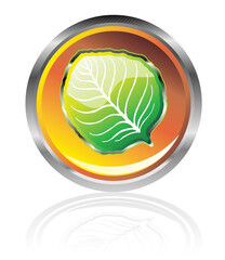 High detailed glossy leaf button Icon