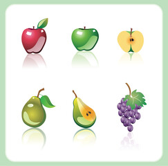 Vector color illustration of a fruits.