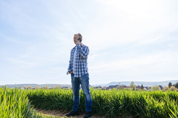 Naklejka na ściany i meble A male farmer stands in a field and talks on the phone. Modern technologies in agriculture